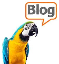 blog colony perroquet