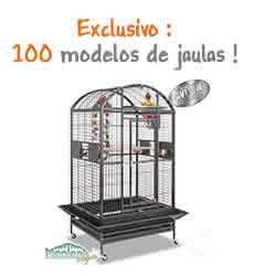 100 modelos de jaulas